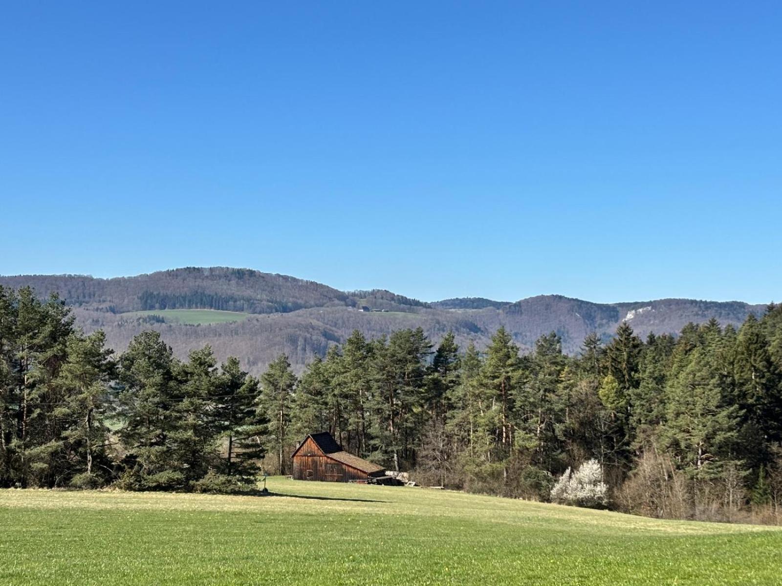 Apartmán Atemberaubender Ausblick Mit Premium-Wanderwegen Vor Der Haustuer Albstadt Exteriér fotografie
